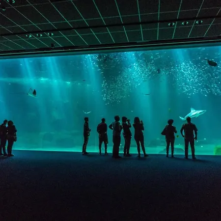 Chez Julie & Yvon Apartmán *