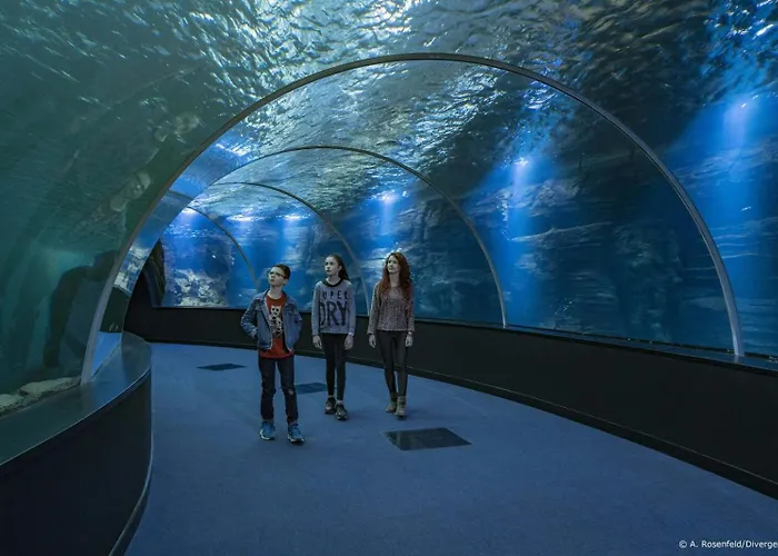 Chez Julie & Yvon Appartement