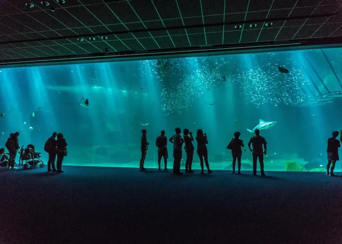 Chez Julie & Yvon Appartement *